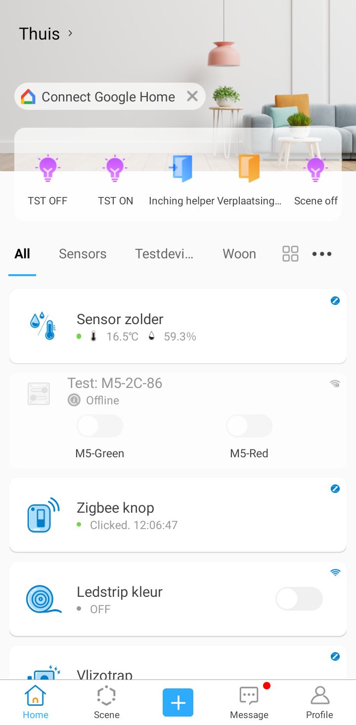 TH10/16 auto mode: homescreen eWeLink app